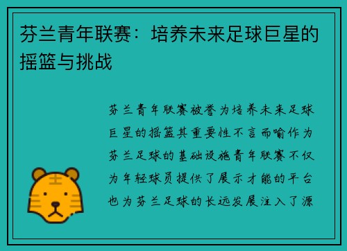 芬兰青年联赛:培养未来足球巨星的摇篮与挑战 芬兰青年联赛:培养未来足球巨星的摇篮与挑战